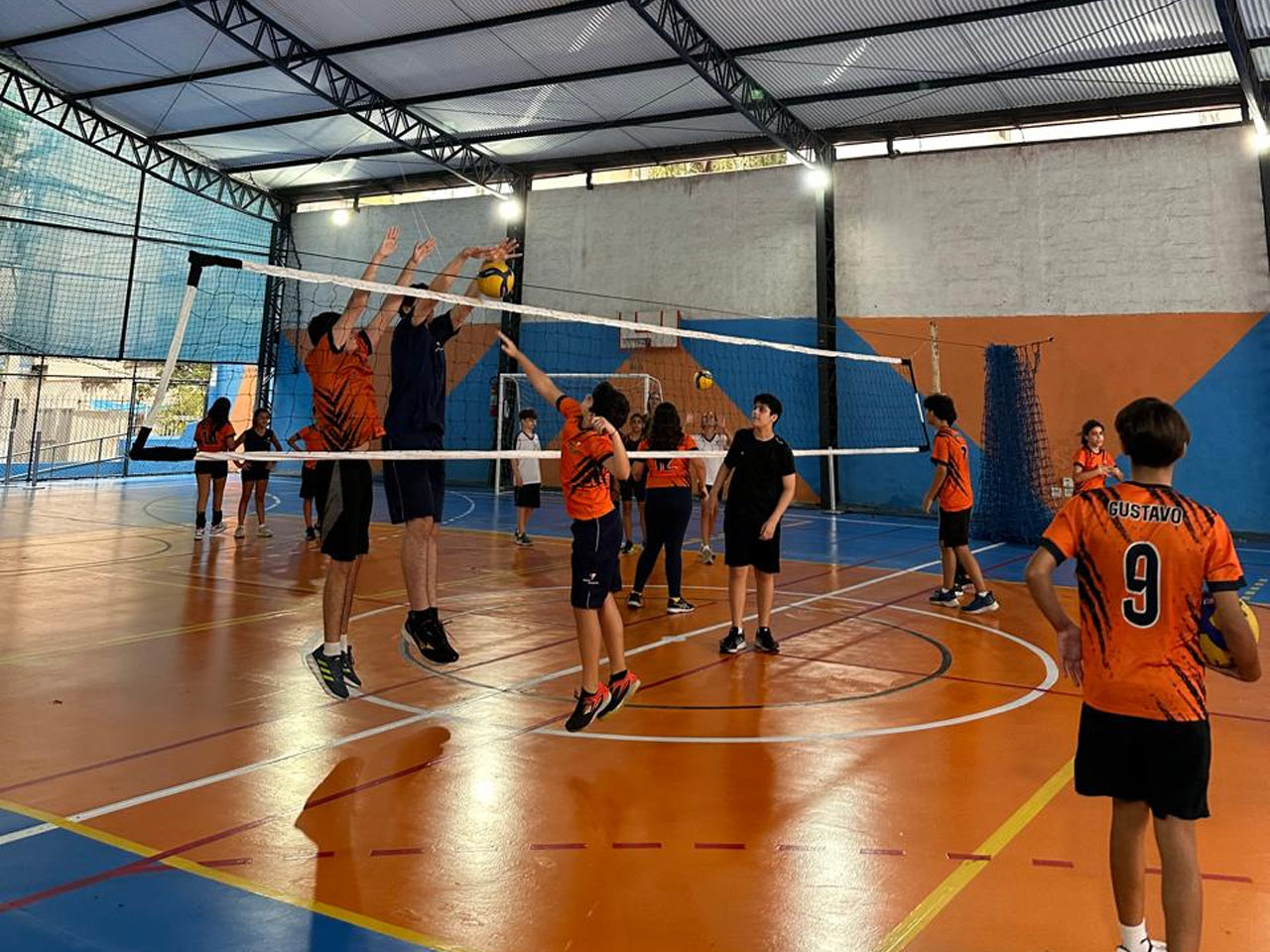 volei